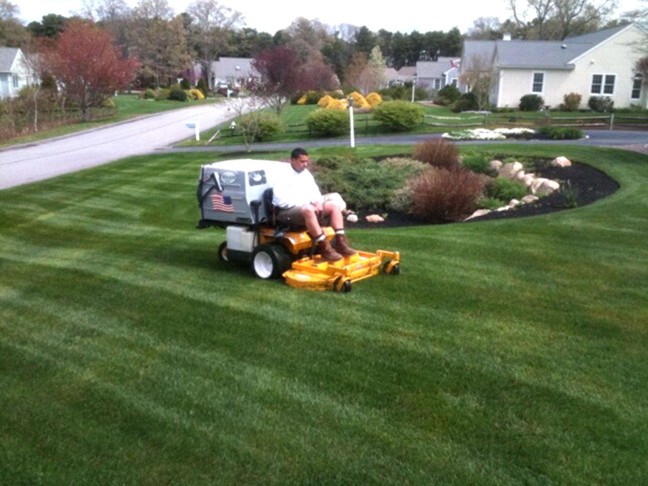 Ride-on mower maintaining a manicured lawn and garden bed